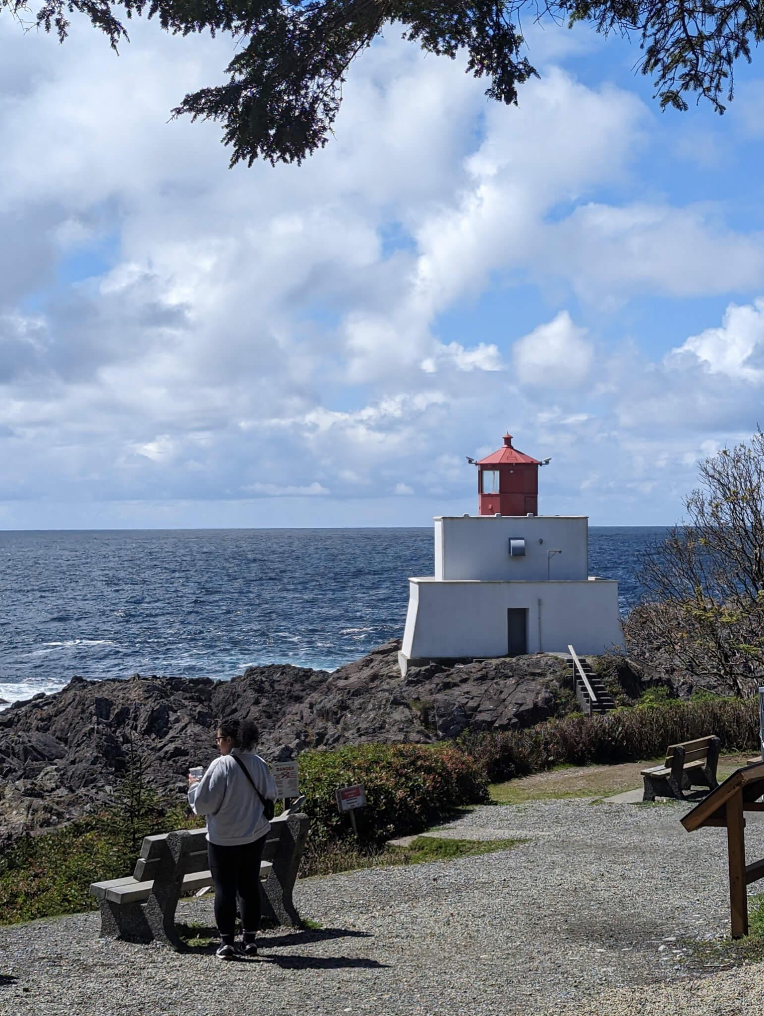 Image of counsellor near a lighthouse